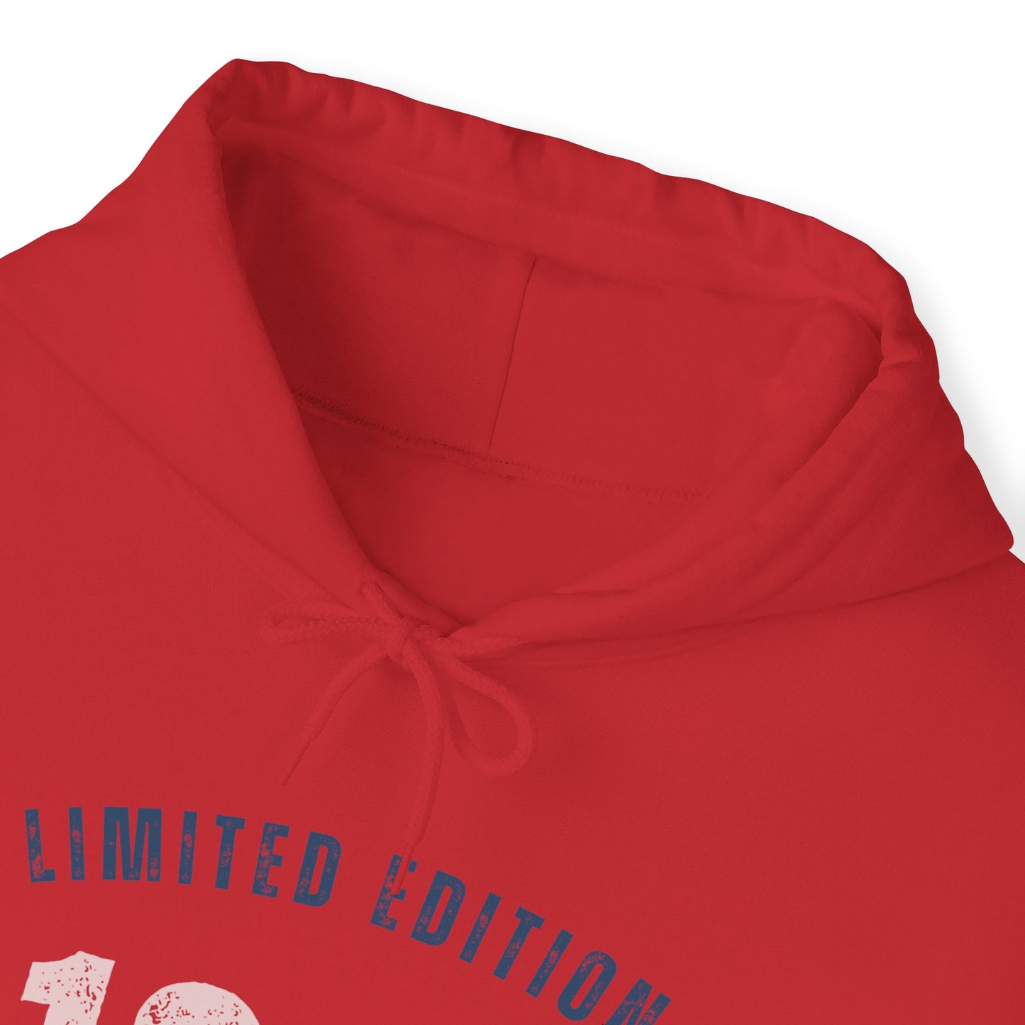 LIMITED EDITION 1994  Men Heavy Blend™ Hooded Sweatshirt